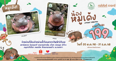 บัตรแรบบิทคอลเลคชันพิเศษ รุ่น หมูเด้ง